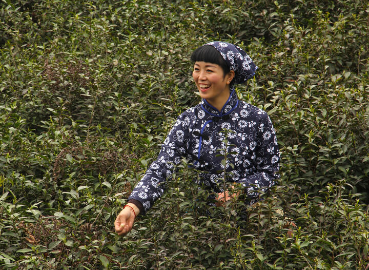 37间房主播跳舞 心理张力
